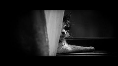 Videographer Patrick M. from Braga, Portugal - Paula + Filipe (SDE), SDE, wedding