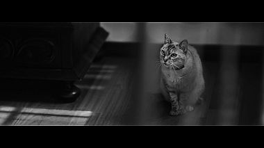 来自 布拉加, 葡萄牙 的摄像师 Patrick M. - Maeva + Yohann (SDE), SDE, wedding