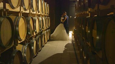 Venedik, İtalya'dan Claudio Polotto kameraman - Veronica & Enrico, düğün
