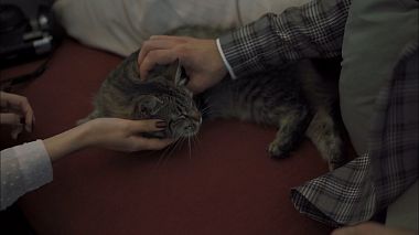 Videograf Artem  Eliseev din Sankt Petersburg, Rusia - Коты эрмитажа | Сats of the state hermitage museum, SDE, clip muzical, eveniment, filmare cu drona, nunta