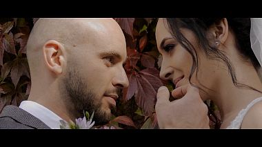 Videographer Vasyl Teplyi from Lvov, Ukrajina - wedding V&I Highlights, wedding