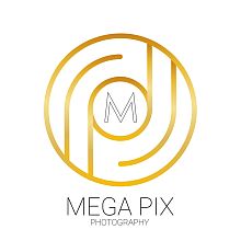 Videographer נתן קטש