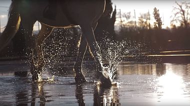 来自 第比利斯, 格鲁吉亚 的摄像师 BrightTime Films - Data & Barbare Wedding clip, engagement, wedding