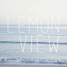 Videographer Lemonview - Photography and Video