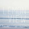 Videographer Lemonview - Photography and Video