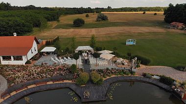 Videographer Alex Parfilo from Kyiv, Ukraine - Zhenya + Gyorgy. Wedding in Hungary, SDE, wedding