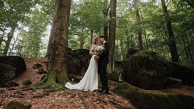 Videographer Svitlo  Films from Lvov, Ukrajina - Vitaliy & Katerina /wedding clip/, SDE, engagement, event, wedding