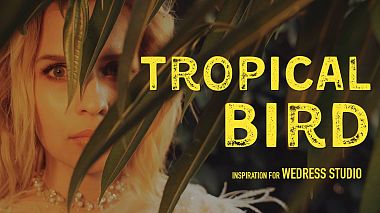 Videographer Michael Topolev from Tchita, Russie - TROPICAL BIRD | Wedress studio, advertising, wedding