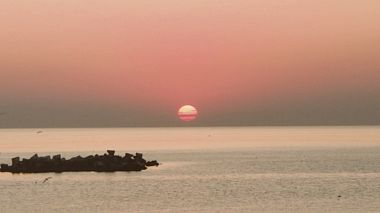 Videographer Decebal Banica from Constanta, Romania - Nico și Lucian, wedding