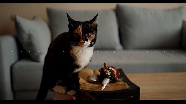 Videographer Happy Planner Studio from Krakov, Polsko - Weronika & Kamil - Love in motion, wedding