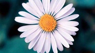 Videografo Producciones Almendares da L'Avana, Cuba - Boda Innovadora en Cuba, drone-video, engagement, event, wedding