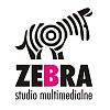 Студия Zebra Studio Multimedialne