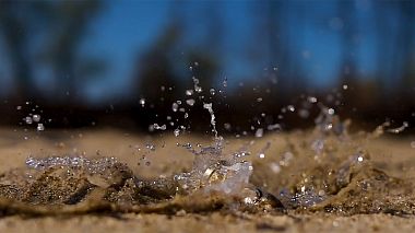 Videographer Radu Mirsan from Craiova, Romania - Alex & Sybi - Wedding Teaser, wedding