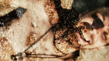 Videógrafo Ruzal Akhmadyshev de Cazã, Rússia - Peace&Love, event, wedding