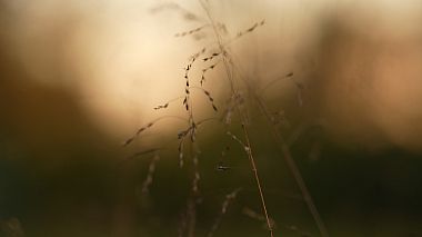 来自 扎波罗什, 乌克兰 的摄像师 Александр Скоробогатов - Kayla Bradshaw, musical video, wedding