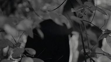 Видеограф Fun Fiction Aleksandra&Maciej, Варшава, Польша - Asia & Hubert Trailer, лавстори, репортаж, свадьба