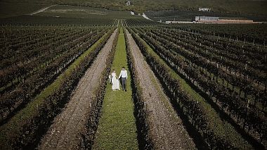 Videographer FriendFilms Studio. from Krasnodar, Russia - Vitaly & Alexandra, wedding