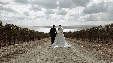 Videographer FriendFilms Studio. from Krasnodar, Rusko - Anton and Diana | Highlights., drone-video, event, musical video, wedding