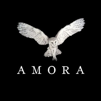 Videographer Rafael Alfaro