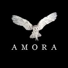 Videographer Rafael Alfaro