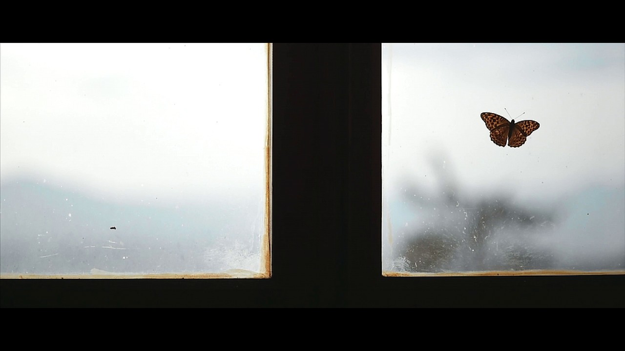 wedding at the castle