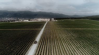 Videographer Tanya Selikhova from Stavropol, Russia - wedding day 12.06.2021, wedding