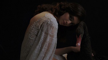 来自 下诺夫哥罗德, 俄罗斯 的摄像师 Artem Korchagin - When the Moon meets the Sun, engagement, wedding