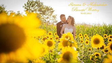 Prilep, Kuzey Makedonya'dan Dano Production kameraman - Rosana & Aleksandar, drone video, düğün, showreel
