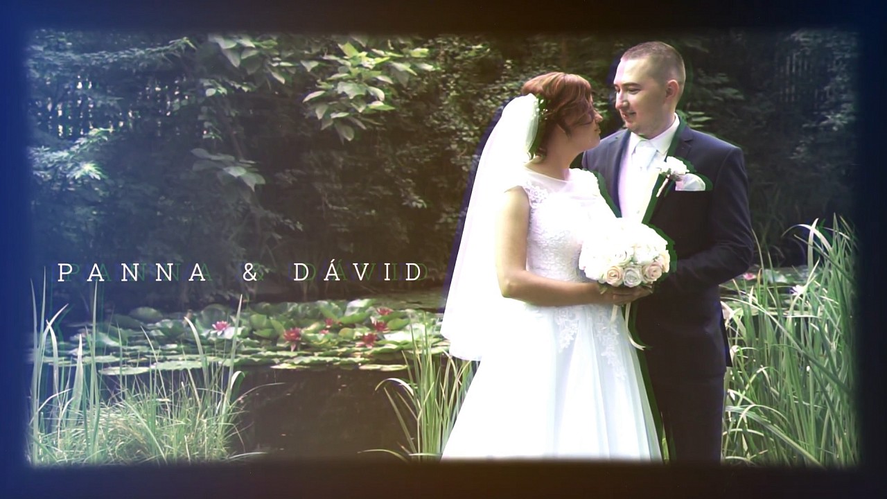 PANNA & DAVID | VINEYARD