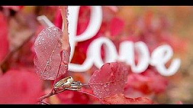 Videographer Aleksandr Kudashkin from Moscow, Russia - Our wedding day Anna &amp; Ruslan, wedding