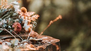 Videographer Vojtek Jurczak from London, United Kingdom - Bohemian Wedding in Czech Republic, drone-video, wedding