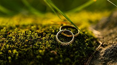 Videographer Vojtek Jurczak from London, United Kingdom - Kuba & Paja - Czech Wedding, wedding