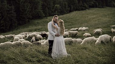 Videographer Michał Bernaśkiewicz from Gdynia, Pologne - Ania i Krzysztof, wedding