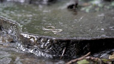 Βιντεογράφος sergey uteshev από Βορονέζ, Ρωσία - дарья и Денис, wedding