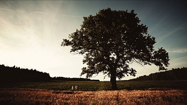Videograf Dmitry Novik din Minsk, Belarus - Алексей&Полина, logodna