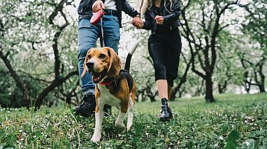 Videographer Dmitry Goryachenkov from Moscow, Russia - #несидимдома сады2020, anniversary, engagement, wedding