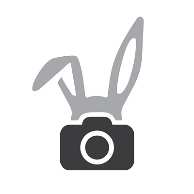 Videographer Dmitry Goryachenkov