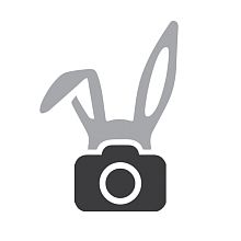 Videographer Dmitry Goryachenkov