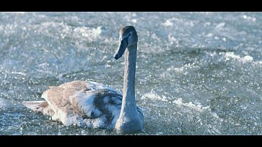 来自 里加, 拉脱维亚 的摄像师 Creative Visuals - Winter  day out, drone-video, engagement, reporting, showreel, training video