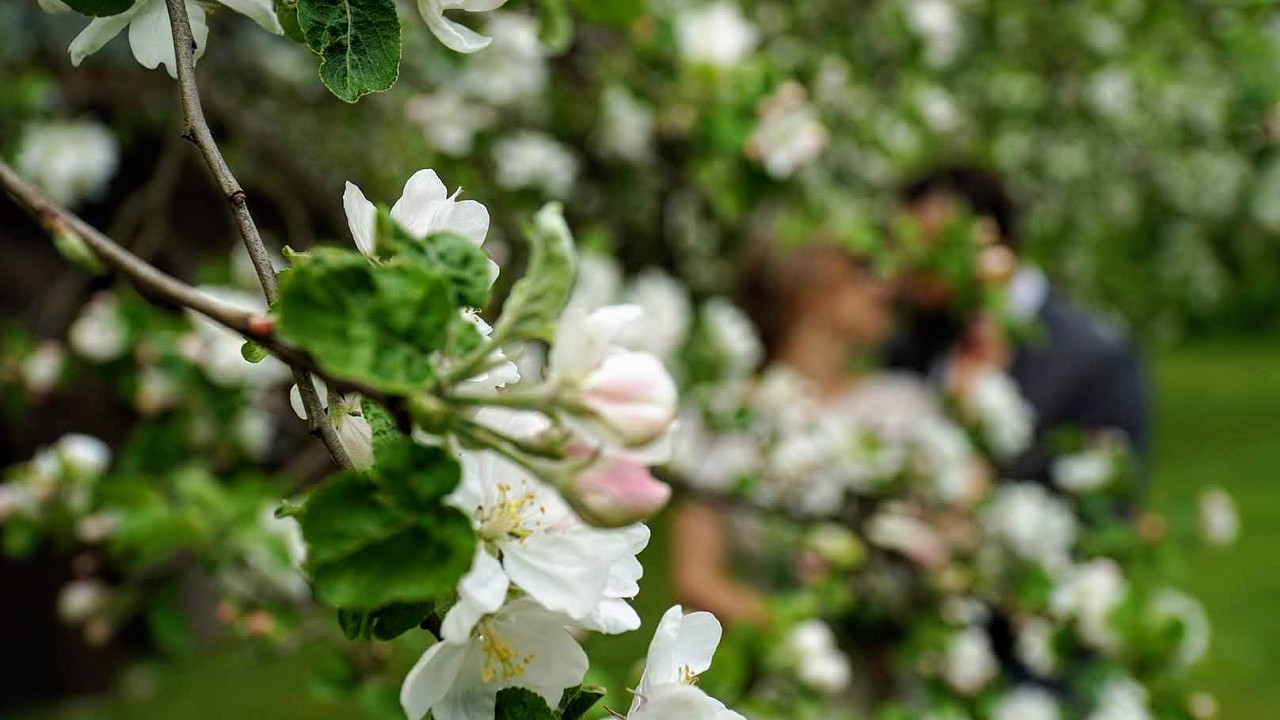 BK Wedding highlights