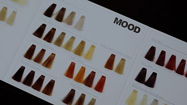 Videographer Evgeny Chernyak from Krasnodar, Russia - РЕКЛАМА "ETALON", advertising