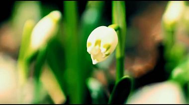 Videografo Nikos Simos da Ioannina, Grecia - Bridal bouquet preparation - B Roll video FF, advertising, corporate video, engagement, training video, wedding