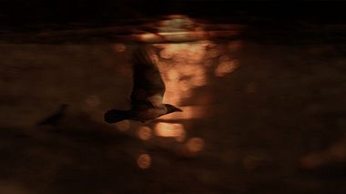 Legnica, Polonya'dan Robert Lemanski kameraman - Polish Beach Autumn - Wedding Shots, düğün, etkinlik, raporlama
