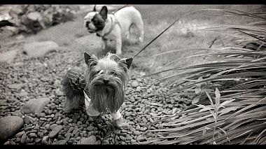 来自 温尼伯, 加拿大 的摄像师 Eduard Vasylenko - E + I, wedding