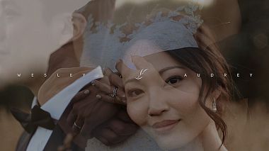 Videographer Roberto Shumski from Vilnius, Lithuania - New Zealand Wedding, wedding