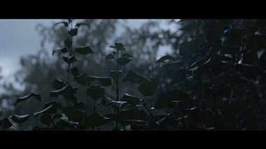 Varşova, Polonya'dan Camera Folks kameraman - Dominika & Grzegorz, düğün