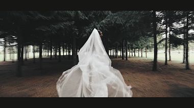 Videographer Mihai  Visan đến từ Alexandra & Valentin, drone-video, wedding