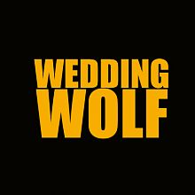 Videographer Wedding Wolf