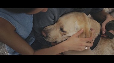 Videographer Takprosto Studio đến từ Gleb & Sasha - Wedding, drone-video, engagement, wedding