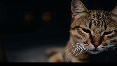 Videografo Make IT Real  Production da Monaco di Baviera, Germania - Yaroslav and Katya, engagement, event, wedding